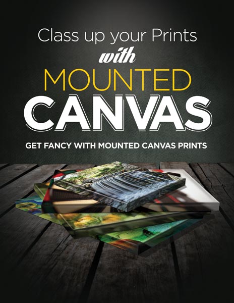 MountedCanvas 01